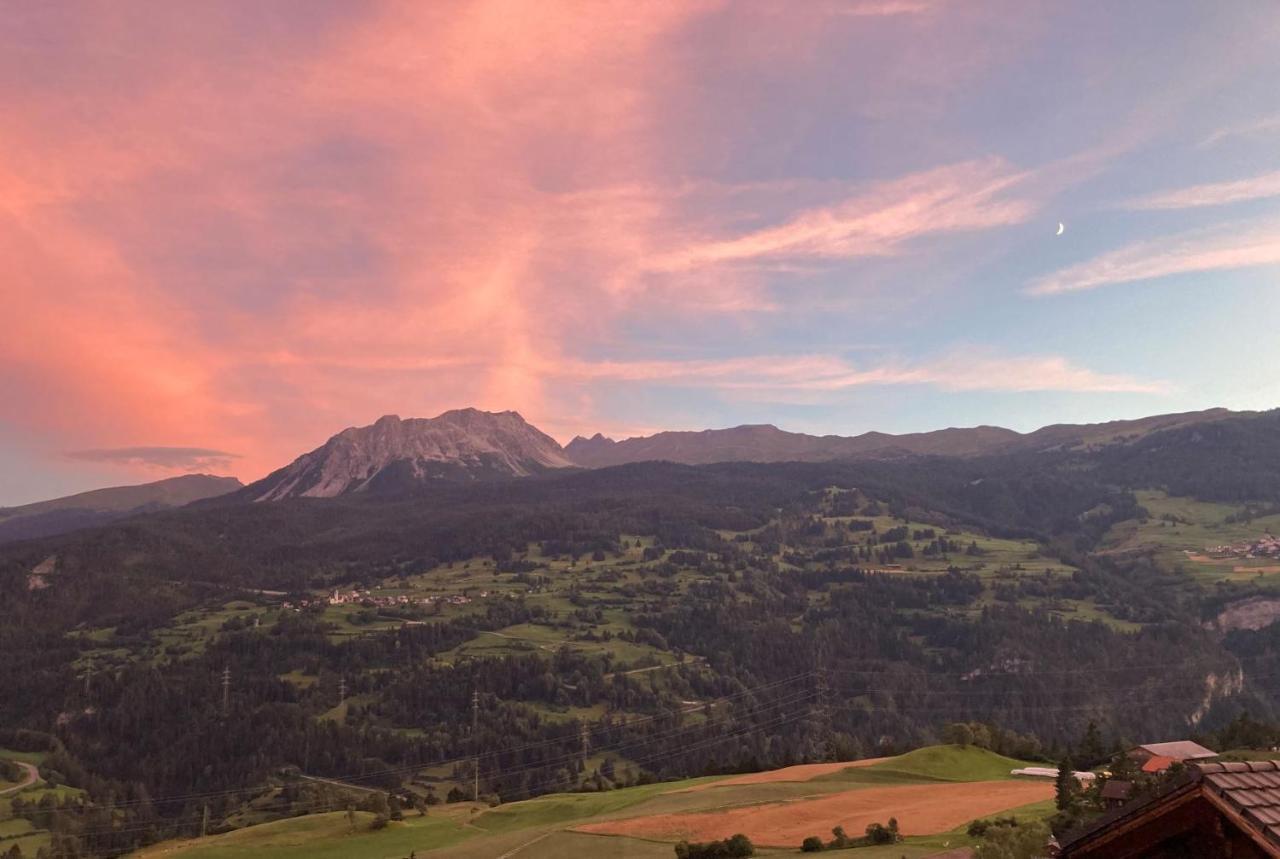 Brienz  Just 10Min From Lenzerheide - Apartment In Vazerol מראה חיצוני תמונה