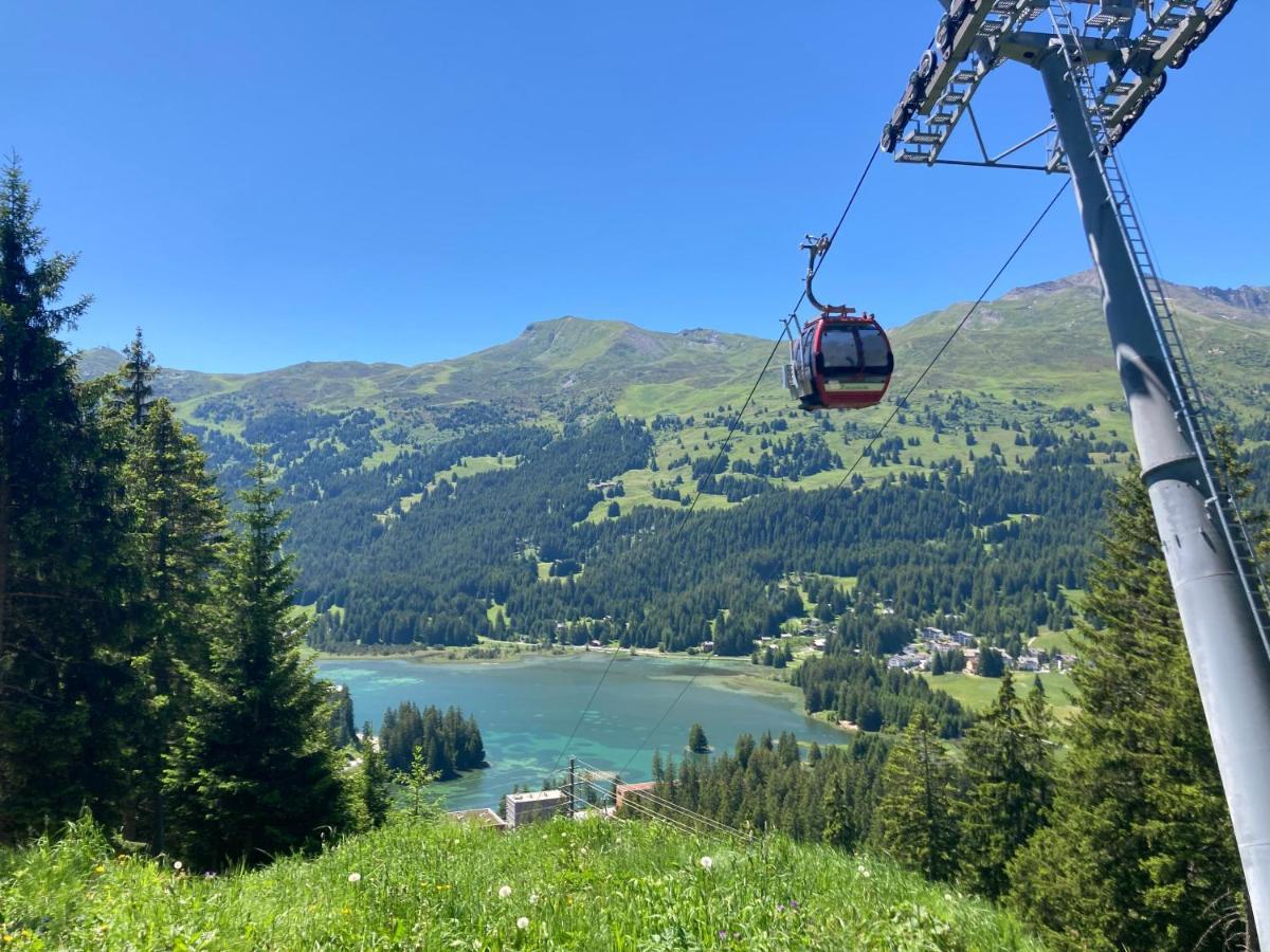 Brienz  Just 10Min From Lenzerheide - Apartment In Vazerol מראה חיצוני תמונה